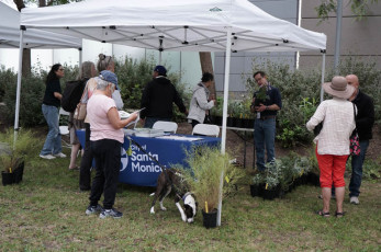 Tom helps attendee choose their free plant